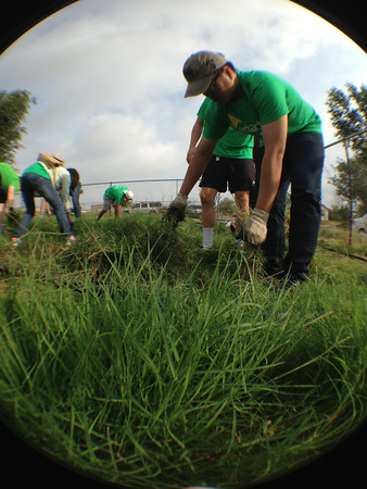 Enactus members working in the High Plains Food Bank Garden
